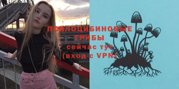 ALPHA PVP Беломорск