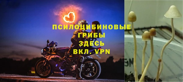 дмт Семикаракорск