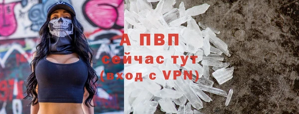 jwh Белокуриха