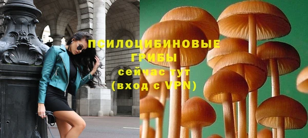 jwh Белокуриха