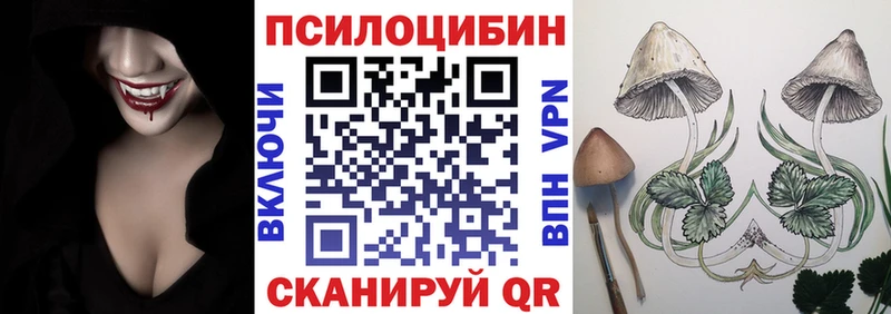 где купить наркоту  Пестово  Галлюциногенные грибы Psilocybine cubensis 